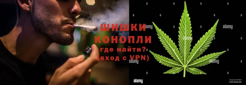 Шишки марихуана SATIVA & INDICA  сколько стоит  Бузулук 